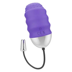 Mr Boss - Denis Egg Controle Remoto