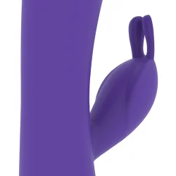 Mr Boss - Aitor Rabbit + Controlo Remoto Watchme