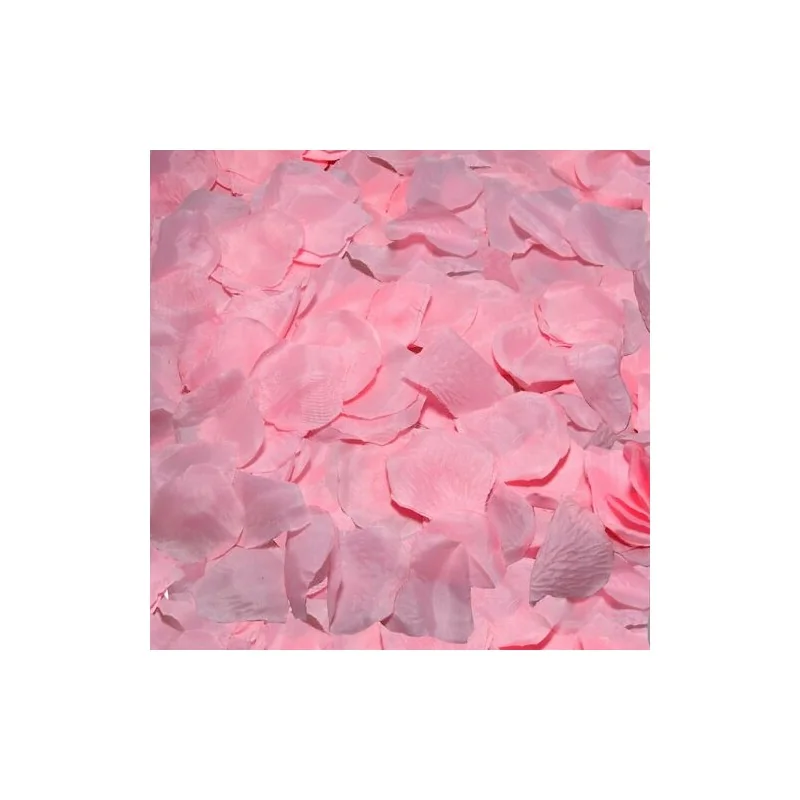 Diablo Picante - 100 Pétalas Rosa