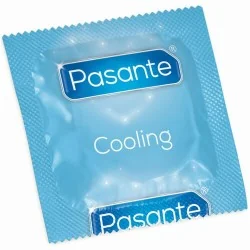 Pasante - Saco Efeito Refrigerante De Preservativos 144 Unidades