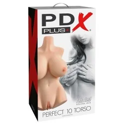 Perfect 10 Light Skin Torso