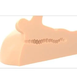 Masturbador Perfeito Para Pênis E Ânus