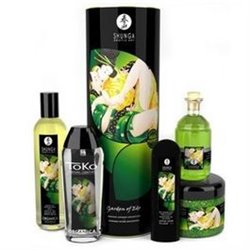 Shunga Erotic Massage Kit Prazer Jardim de Edo