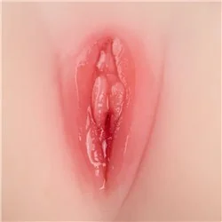 Torso Feminino Realistico Armony Modelo 1