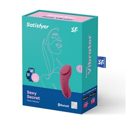 Satisfyer Sexy Secret Panty Rosa