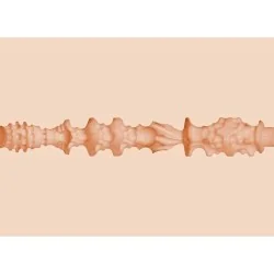 Fleshlight Girls - Mia Malkova Headshot Mouth